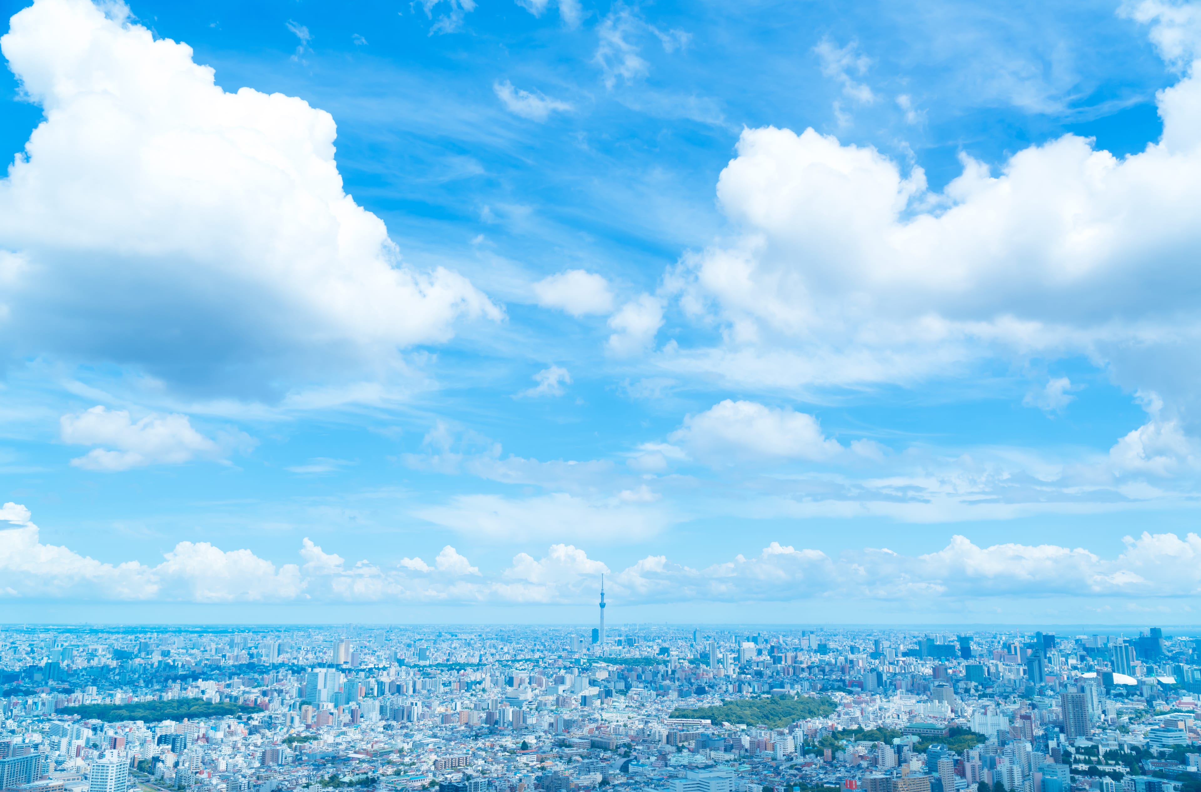 モバイル背景画像